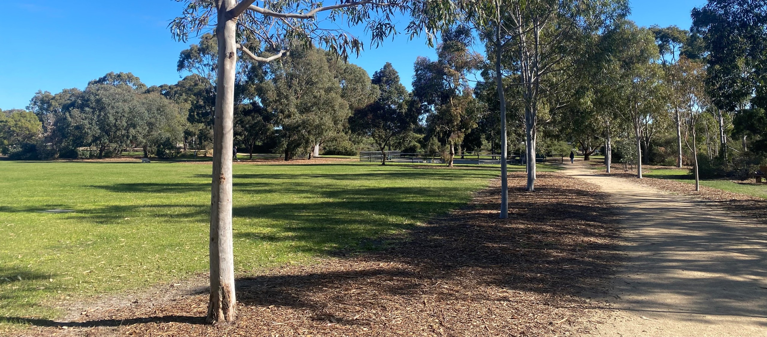 Sky view of Elsternwick Park showing lake, trees, grass
