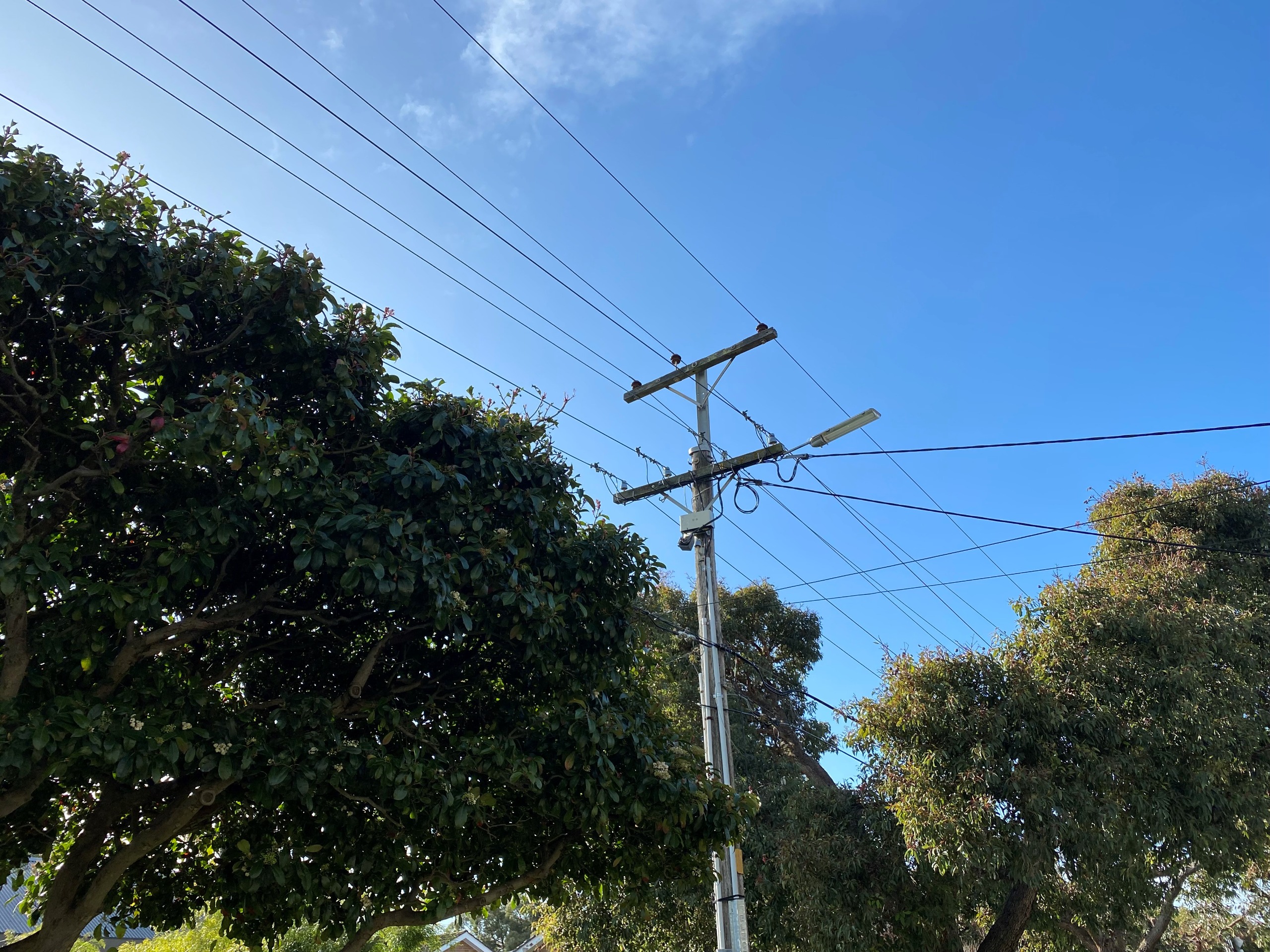 Undergrounding powerlines Have Your Say Bayside City Council