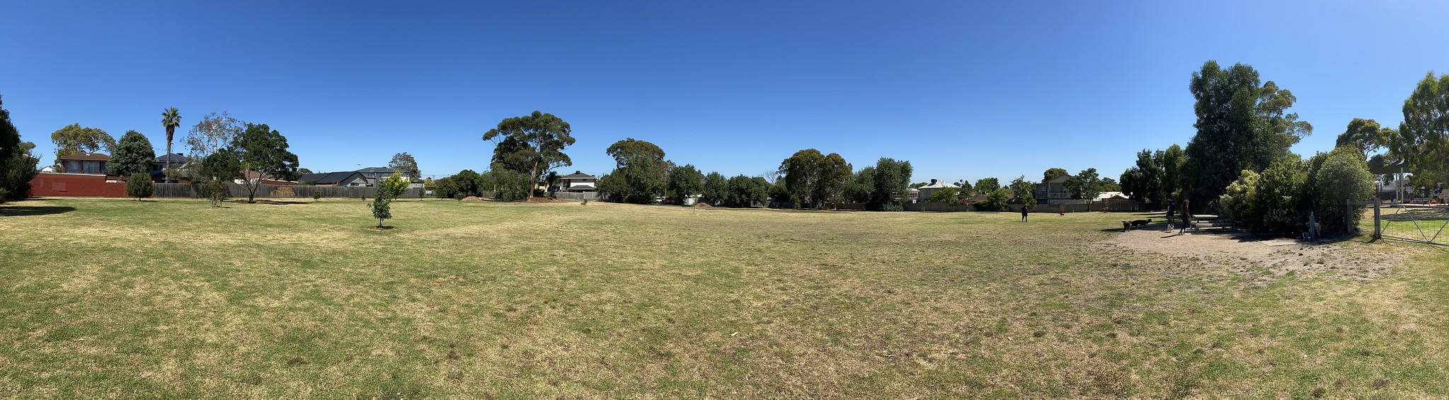 Wishart Reserve dog park Have Your Say Bayside City Council