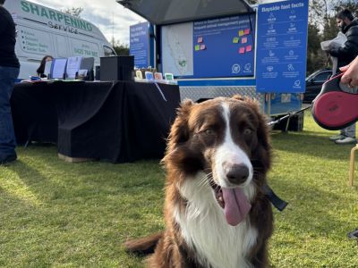 Dog with pop up stand in background